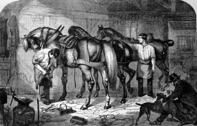 Artesano: el Mariscal Ferrants hizo las pezuñas de los caballos. Grabado del siglo XIX