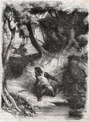 Astolfo al borde de una fuente - grabado de 1851 de “Roland Furioso” (Orlando furioso) (siglo XVI) de Ludovico Ariosto, conocido como el Ariosto - Edición traducida del italiano por el Conde de Tressan y publicada por Gustave Harvard.