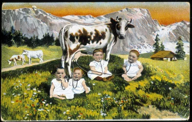 Bebés obstinados con una vaca por tubos - Postal, finales del siglo XIX
