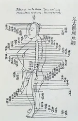 Acupuntura china: el meridiano de la vejiga