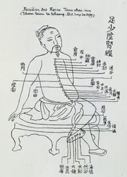 Acupuntura china: el meridiano de los riñones
