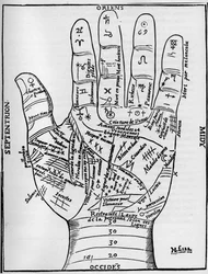 Quiromancia - GRÁFICO DE QUIROMANCIA - Diagrama planetario y zodiacal de la mano izquierda - Xilografía de 