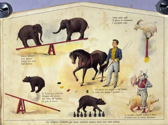 Circo: una tabla que representa diferentes tipos de espectáculos de animales amaestrados con elefantes, una cabra, un oso, caballos y un cerdo