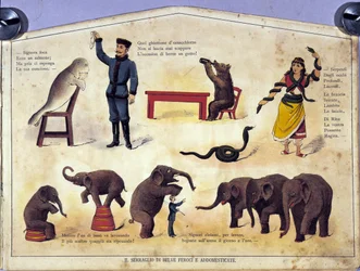 Circo: una lámina que representa diferentes tipos de espectáculos de animales amaestrados con focas, elefantes, osos, serpientes. Ilustración del siglo XIX.