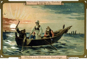 Pesca de bacalao en Noruega. Empaque de productos Liebig