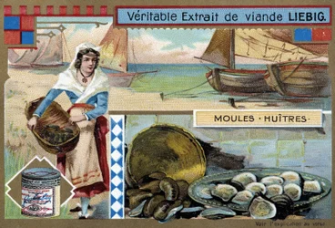 Recolección de mejillones y ostras - cromolitografía de Liebig, c.1900