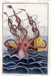 Pulpo colosal atacando un barco - grabado del libro de Pierre Denys-Montfort 