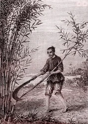 Cortando los bambúes, fabricación de papel en China (siglo III a.C.) (grabado