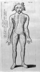 De Acupunctura por W.Ten Rhijne. Londres 1683. Primer texto occidental sobre acupuntura