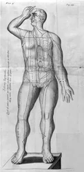 De Acupunctura por W.Ten Rhijne. Londres 1683. Primer texto occidental sobre acupuntura