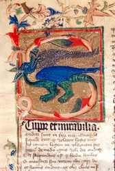 Dragón decorado en letra capital (detalle) de un manuscrito del siglo XIV