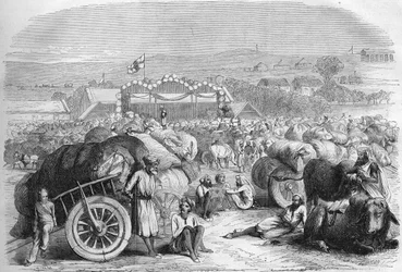 India inglesa 1872: El mercado de algodón de Khangaon.