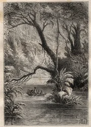 Expedición a América (1799-1804) de Alexander von Humboldt (1769-1859) y Aimé Bonpland (1773-1858): los exploradores descienden el Orinoco, rodeados por los gigantescos árboles de la selva amazónica (Cano Pimichin, Venezuela) - ilustración tomada de “Los G