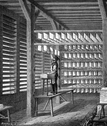 Extensión de hojas de papel hechas para formar en “Las maravillas de la industria” por Louis Figuier, París