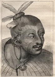 Primer viaje (1768-1771) del Capitán James Cook (1728-1779): cabeza tatuada de un neozelandés - ilustración tomada de "Los Grandes Navegantes del siglo XVIII"