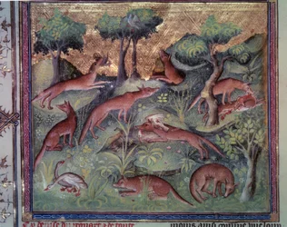 Caza de zorros y aves de corral. Miniatura del manuscrito “El libro de la caza” (folio 34v) por Gaston Phoebus (1331-1391) conocido como Gaston III Conde de Foix