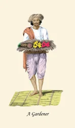 Jardinero