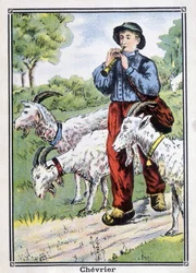 Cabra: El cabrero tocando el pipot