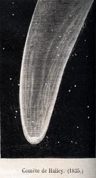 El cometa de Halley 1835 - grabado alrededor de 1867