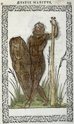 Hombre salvaje - en “Hábitos y efigies” de Jean Sluperius