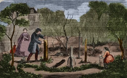 Horticultura: principales métodos de trasplante de plantas. Grabado de 1860