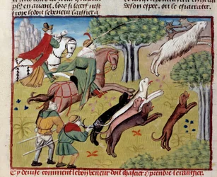 Cómo cazar el ciervo del libro de caza de Gastón III Phoebus, Conde de Foix