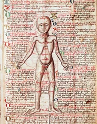 Cuerpo humano. Grabado del «Tractatus de pestilentia», siglo XV - Praga, Biblioteca Nacional