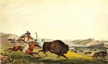 Caza de bisontes en América del Norte. Siglo XIX