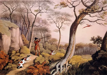 Caza de faisanes en Inglaterra. Grabado del siglo XIX. Gien, museo de caza