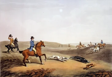 Escena de caza en Inglaterra. Grabado del siglo XIX. Gien, museo de caza