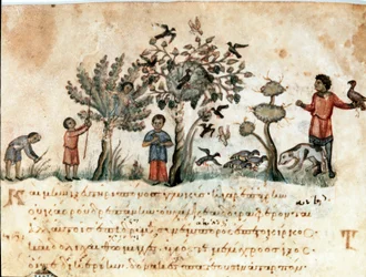 Escena de caza con halcones y recolección de frutas. Miniatura tomada del tratado de caza Los Cinegéticos de Oppiano de Siria (siglo III d.C.) dedicado a Caracalla. Siglo XI Venecia. Biblioteca Marciana