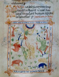 Página iluminada de ovejas y pastores, parte del Códice de Varmondo, c.1000