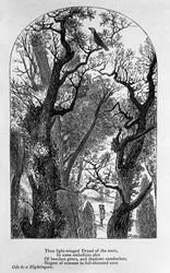 Ilustración para "Oda a un ruiseñor" del poeta John Keats (1795-1821) siglo XIX
