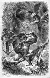 Ilustración publicada en la edición de 1862 de “Le Tour du monde” que representa una batalla entre un dayak y un orangután en la isla de Borneo. Grabado