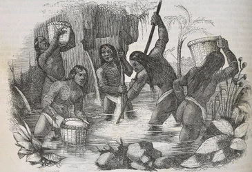 Indios de la Isla de La Española buscando oro