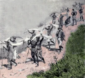 Comercio de marfil: caravana de porteadores congoleños transportando defensas de elefante. Grabado del siglo XIX.