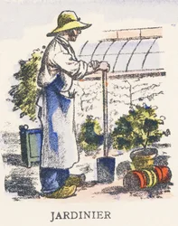 J: jardinero