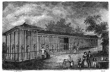 Jardín de Plantas en París en 1861: cetrería.