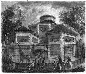 Jardin des Plantes en París en 1861: rotonda de elefantes y jirafas