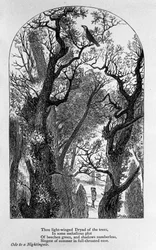John Keats: Oda a un ruiseñor