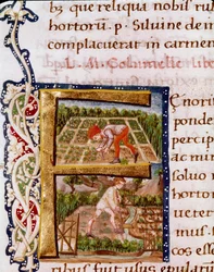 Letra F del capítulo sobre horticultura: escenas de playa y riego. Miniatura tomada de "De re rustica" del agrónomo Lucius Iunius Moderatus Columella (siglo I) (Ms.E-39). Siglo XV. Roma, Biblioteca Vallicelliana