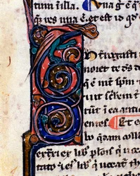 Letra decorada de un monstruo gótico que recuerda a las gárgolas. Detalle de manuscrito del siglo XIV