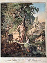 El hombre en medio de la Creación - en “Histoire Sainte”, ed. Hachette