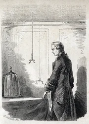 Luigi Galvani causa contracciones en una rana con electricidad de un pararrayos - LUIGI GALVANI (1737-1798) médico y físico italiano. Causa contracciones en una rana con electricidad de una nube de tormenta