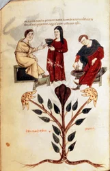 Medicina: preparación de una poción de hierbas (peonía). Miniatura tomada de "De diversis herbis" de Hipócrates el Grande o Hipócrates de Cos (460-370 a.C.) médico griego