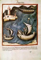 Comercio de medicina: “agua salada” Página tomada de “Tacuinum sanitatis” (Cod. ser. nov. 2644) Alrededor de 1400