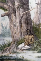 Meditación al pie de un árbol, India.