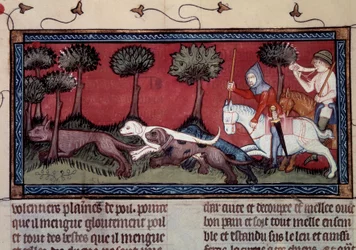 Caza de zorros en miniatura del manuscrito fr. 1297 libro del Rey Modus y la Reina Ratio por Henri de Ferrieres (siglo XIV)
