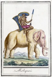 Hombre de Molucas en un elefante (Islas Molucas, Indonesia)