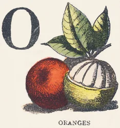 O: naranjas